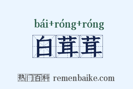 白茸茸是什么意思的图片